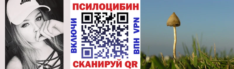 купить наркотики сайты Нарткала OMG tor Псилоцибиновые грибы мухоморы