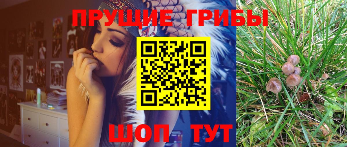 Нарткала  Галлюциногенные грибы GOLDEN TEACHER  Вход с VPN  Псилоцибиновые грибы Psilocybe 