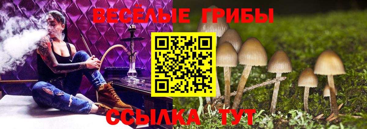 Cocaine  Нарткала  Метадон  Метамфетамин  Плюхи  МЕФ  Вход с VPN  ГАШ  Каннабис 