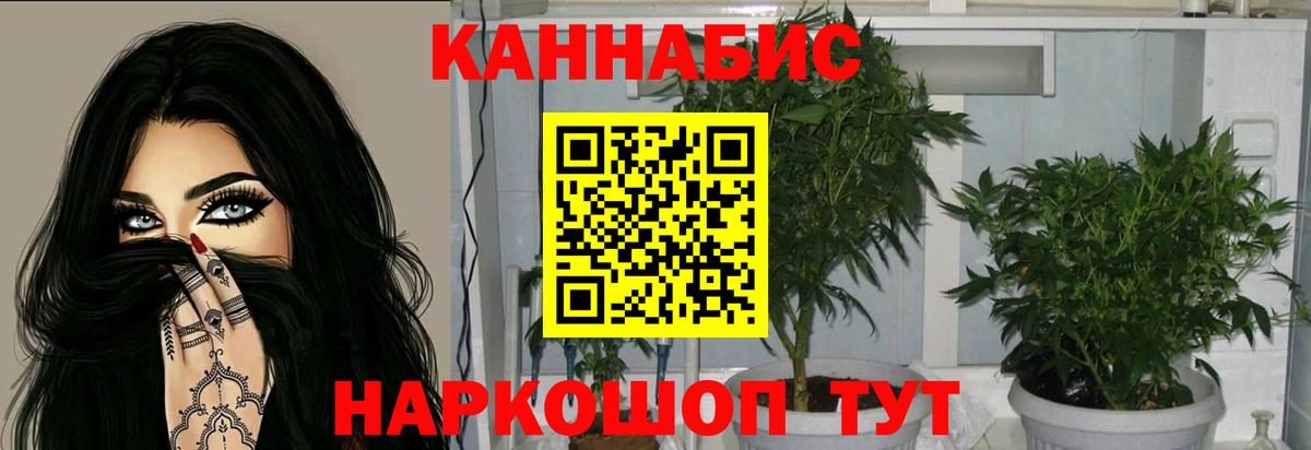 Конопля план  Каннабис Bruce Banner  Вход с VPN  Нарткала  МАРИХУАНА SATIVA & INDICA 